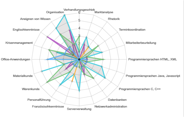 time4you-Infografik: Kompetenzstand Spinnendiagramm